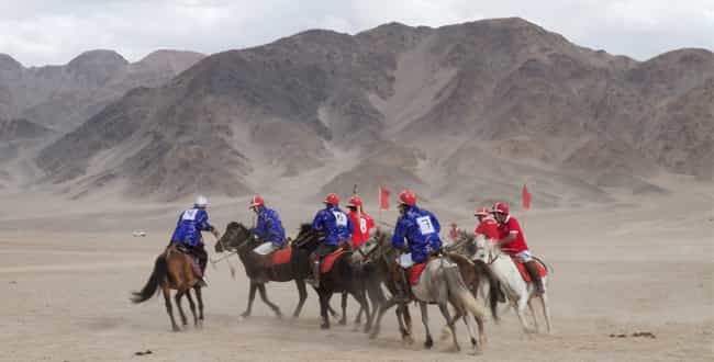 Polo in India