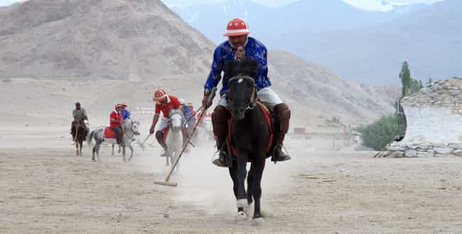 Ladakh Polo