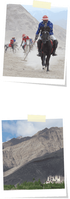 Stok Kangri Trekking Tour - Day 5